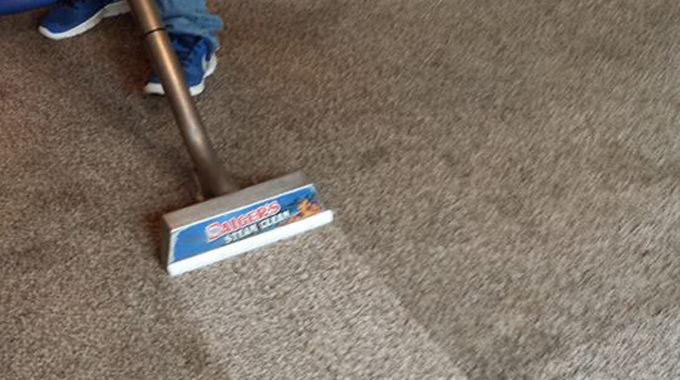 professional carpet cleaners grand rapids mn 30