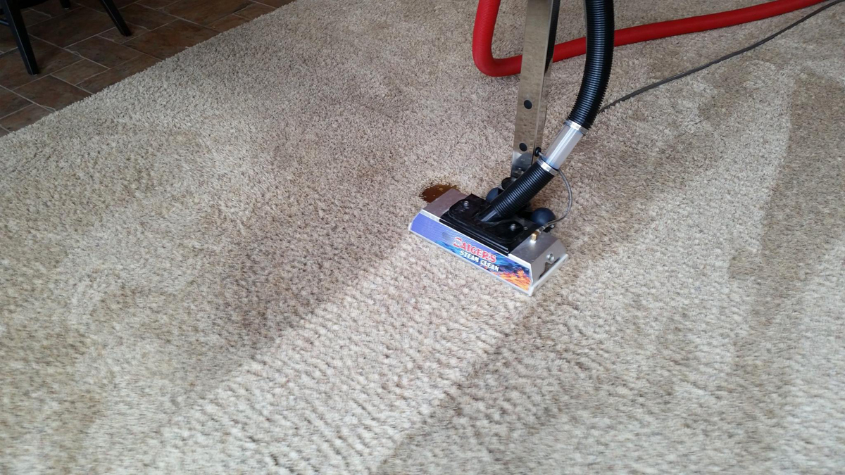 saigers steam clean carpet professionals